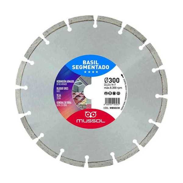Disco diamante basil segmentado 300mm eje 25,4mm MUSSOL