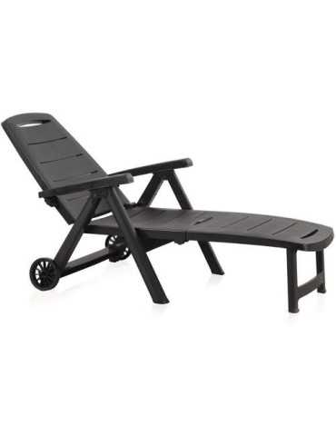 Tumbona plegable antibes antracita c/ruedas 55369 BERNER