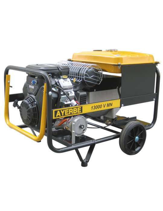Generador 13000 v mn AYERBE