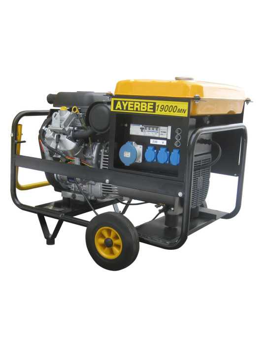 Generador 19000 v mn AYERBE