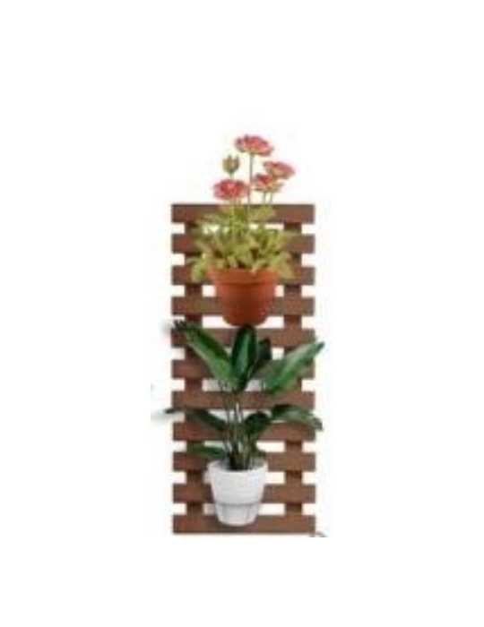 Celosia Birdy Bankirai 40x97cm, Esp 38 Mm 4652 FOREST STYLE