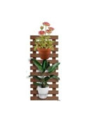 Celosia Birdy Bankirai 40x97cm, Esp 38 Mm 4652 FOREST STYLE