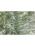 Seto Artificial 36 Var. 1x3 NOVARTIX