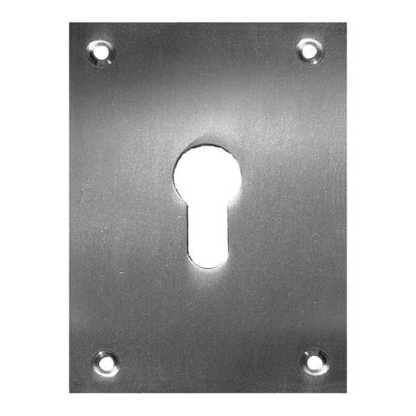 Placa Bocallave 2 Un. 100x70mm Níquel Satinado MICEL