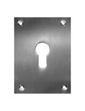Placa Bocallave 2 Un. 100x70mm Níquel Satinado MICEL