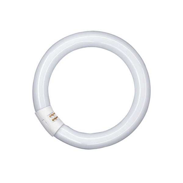 Fluorescente Circular T9 22W/865 12 Unidades OSRAM