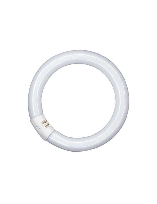 Fluorescente Circular T9 22W/865 12 Unidades OSRAM