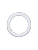 Fluorescente Circular T9 22W/865 12 Unidades OSRAM
