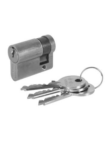Cilindro Logoline 30x70 Níquel Std CISA