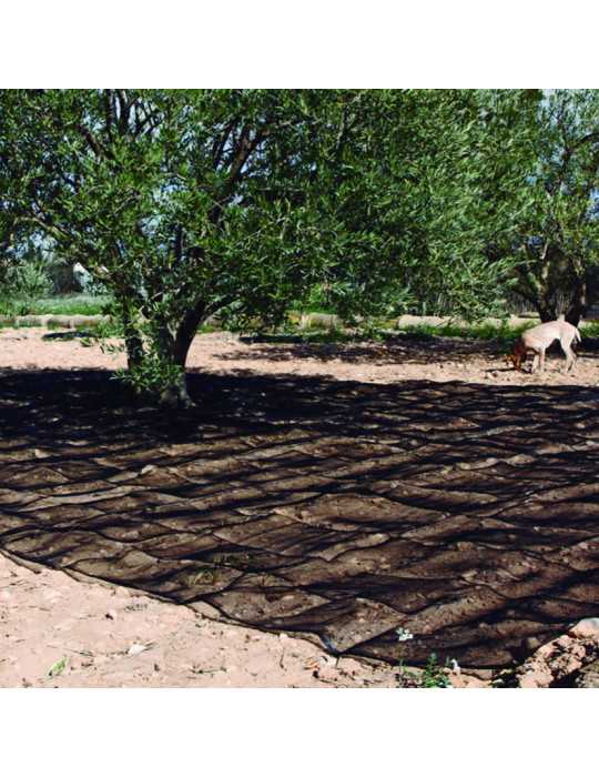 Manto Recolección Oliva/Almendra 5x10 m LISTA
