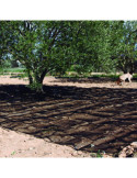 Manto Recolección Oliva/Almendra 5x10 m LISTA