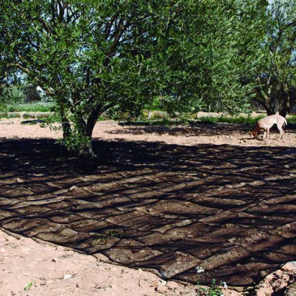 Manto Recolección Oliva/Almendra 6x12 m LISTA