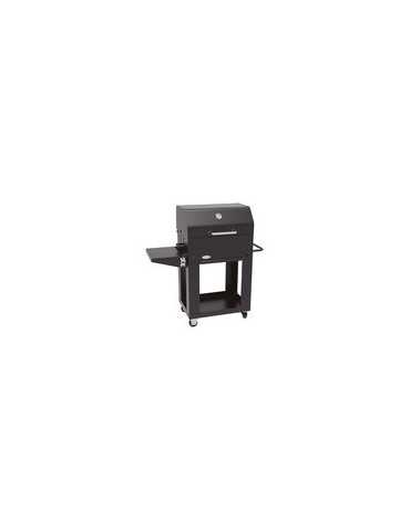 Barbacoa de Carbón con Tapa Superficie 73x29 cm 2