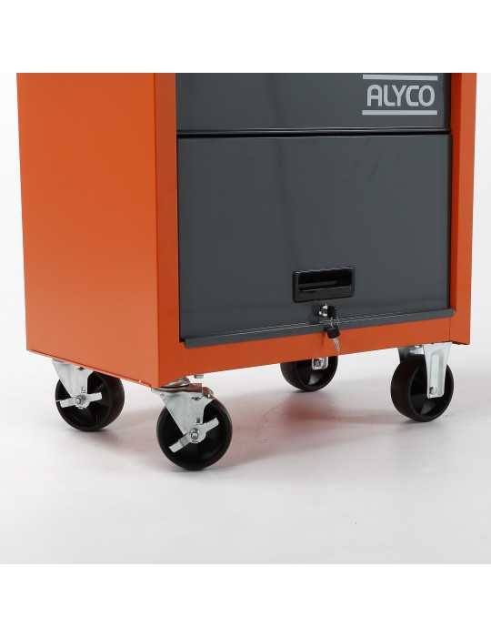 Carro metálico con portón y 2 cajones 678x459x702 mm ORANGE ALYCO