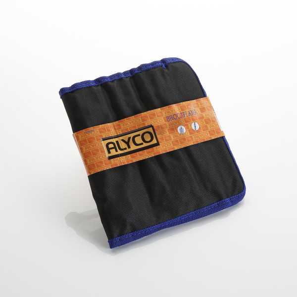 Juego de brocas planas 11 piezas ALYCO