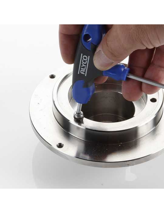 Llave Torx inviolable con mango en T bicomponente T40 ALYCO