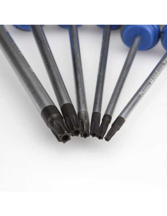 Juego de 6 destornilladores Torx inviolables ALYCO