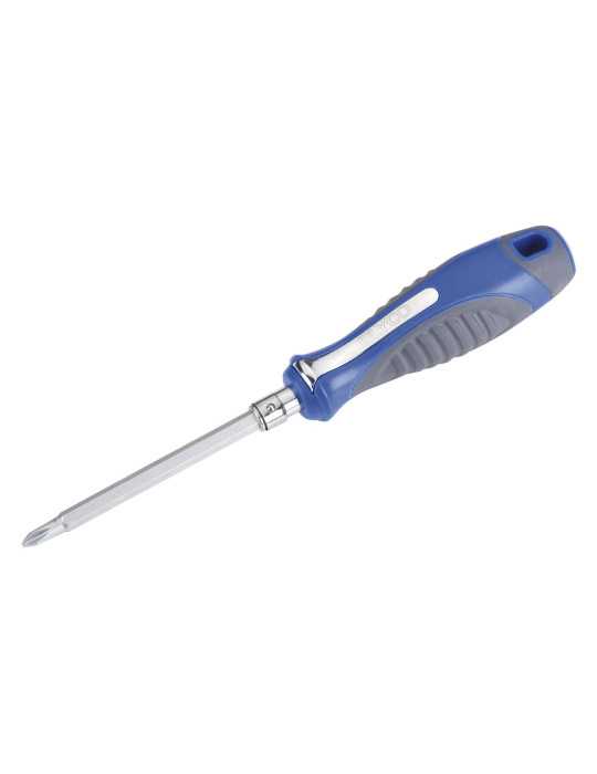 Destornillador con varilla intercambiable Phillips PH2 y plana 6 mm 175 mm ALYCO