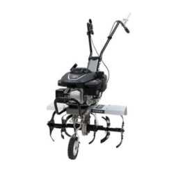Motoazada OMEGA Le Mans 150 3.5hp 0008050665