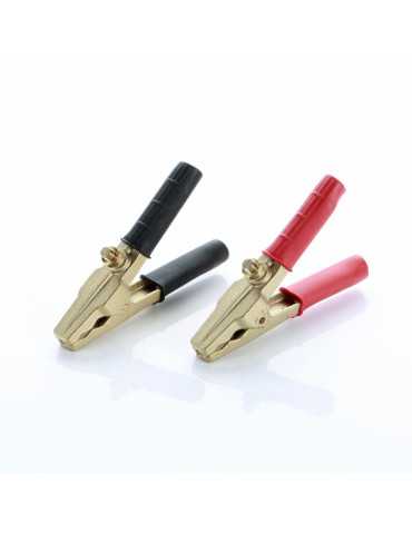 Juego de pinzas de bronce para batería 600A ALYCO 2
